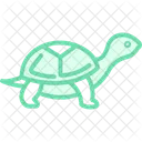 Turtle Ocean Marine Icon