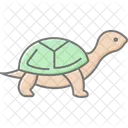 Turtle Ocean Marine Icon