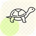 Turtle Ocean Marine Icon