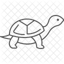Turtle Ocean Marine Icon