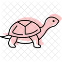 Turtle Ocean Marine Icon