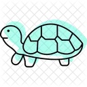 Turtle Pet Reptile Icon