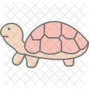 Turtle Pet Reptile Icon