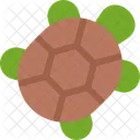 Turtle Reptile Aquatic Icon