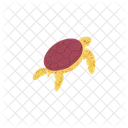 Cute Turtle Sea Icon