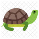 Turtle Animal Sea Icon