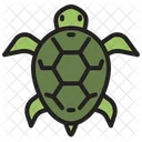 Turtle Tortoise Reptile Icon