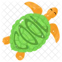 Tortoise Turtle Reptile Icon