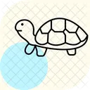 Turtle Pet Reptile Icon