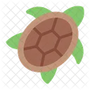 Turtle Ocean Marine Icon