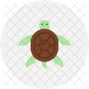 Turtle  Icon