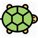 Turtle Pet Animal Icon