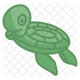 Turtle ride toy  Icon