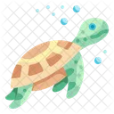 Turtle Sea Aquatic Animal Aquarium  Icon