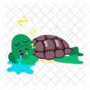 Turtle Cartoon Turtle Stickers Tortoise Cartoon Icon