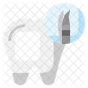 Tweezer Dentistry Medical Icon