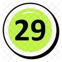 Twenty Nine Number  Icon