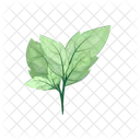 Leaves Twig Green Icon