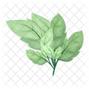 Leaves Twig Green Icon