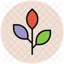 Twig Offshoot Shoot Icon