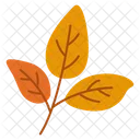 Twig Leaf Small Leaf Autumn Foliage Icon