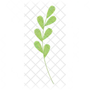 Leaf Nature Twig Icon