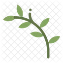 Twig Plant Branch Icon