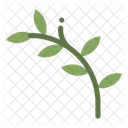 Twig With Leaves  Icon