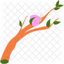 Twigs And Beetles Stem Technology Icon