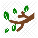 Twigs Nature Plant Icon