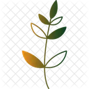 Twing With Leaves Flower Twig With Leaves Flower Icon