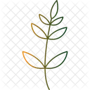 Twing With Leaves Flower  Icon