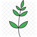 Twing With Leaves Flower  Icon