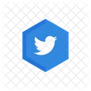 Twitter Reseaux Sociaux Logo Icône
