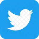 Twitter Marca Logotipo Ícone