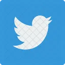 Twitter Social Square Icon