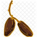 Two Dates And Their Stems Dates Date Icon