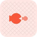 Two Fish Colorful Fish Pisces Icon