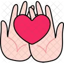 Two Hand Holding Heart  Icon