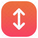 Two Vertical Arrow Direction Icon