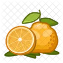 Ugli Fruit Fruit Healthy Icon