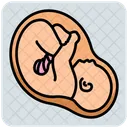 Ultraschall  Symbol