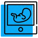 Ultrasound Icon