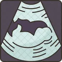 Ultrasound Image Fetus Icon