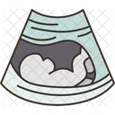 Ultrasound Fetus Womb Icon