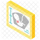 Pregnancy Baby Xray Xray Icon