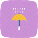 Umbrella Rain Icon