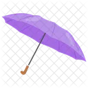 Umbrella  Icon