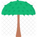 Umbrella Tree Icon