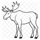 Kaukasischer Elch Tier Fauna Symbol